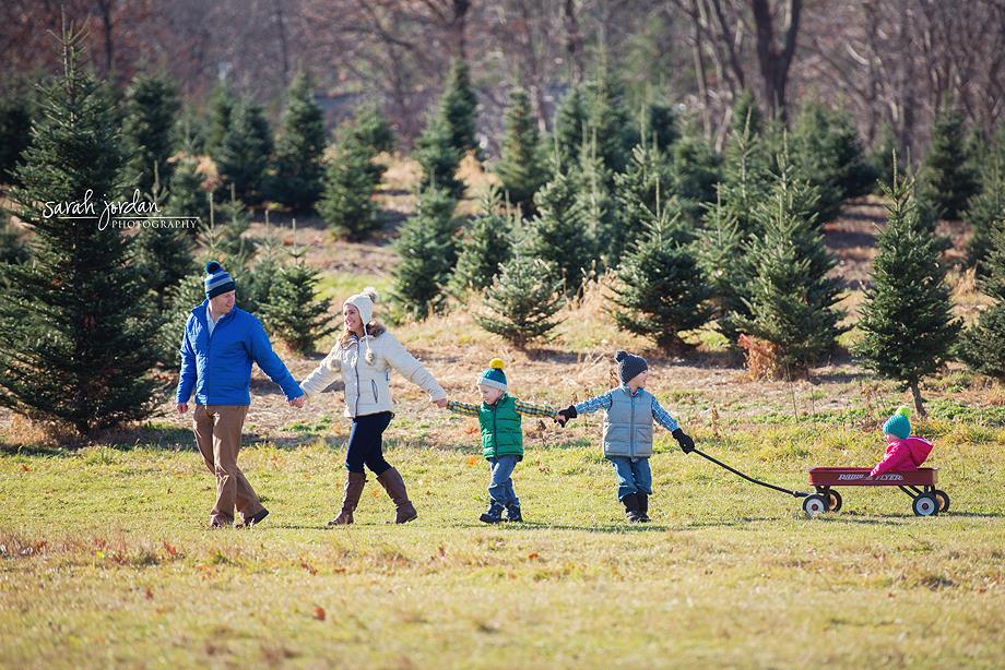 15 Boston Christmas Tree Farms - Cut Your Own Or Buy Fresh Cut Trees In ...