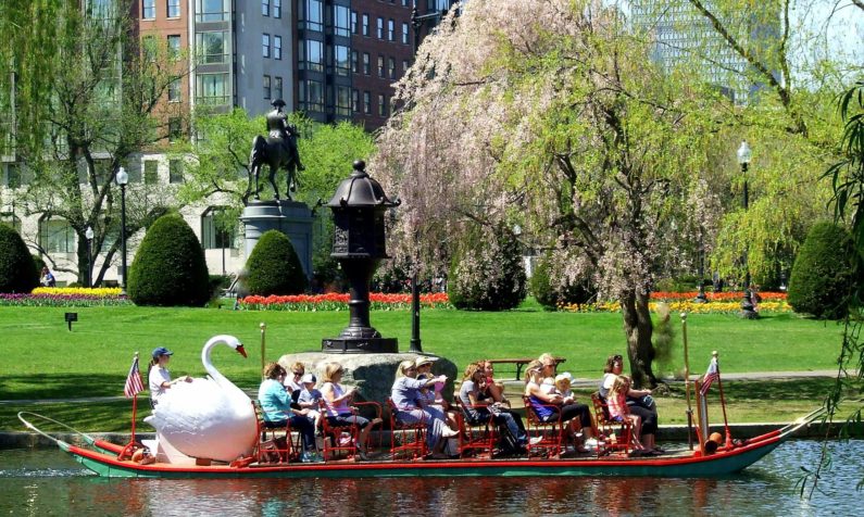 Things to Do in Boston with Kids | Swan Boats of Boston