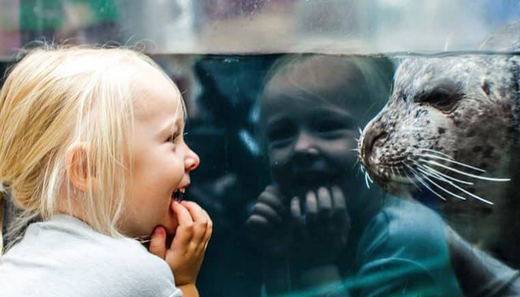 Things to do in Boston with kids - New England Aquarium