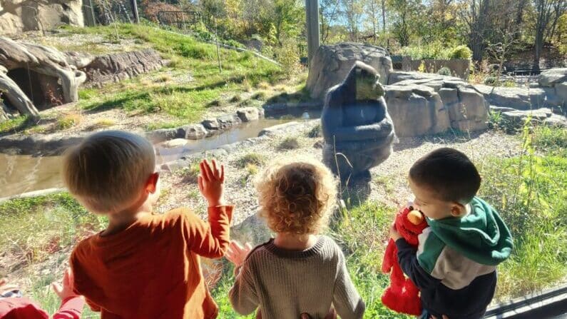 Things to Do in Boston with Kids | Franklin Park Zoo