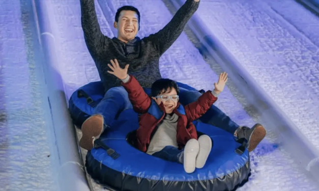 10 fun things to do in Dallas with kids this weekend of November 25, 2022 include Radiance! & Frozen, A Grand Tree Lighting Celebration, and more!