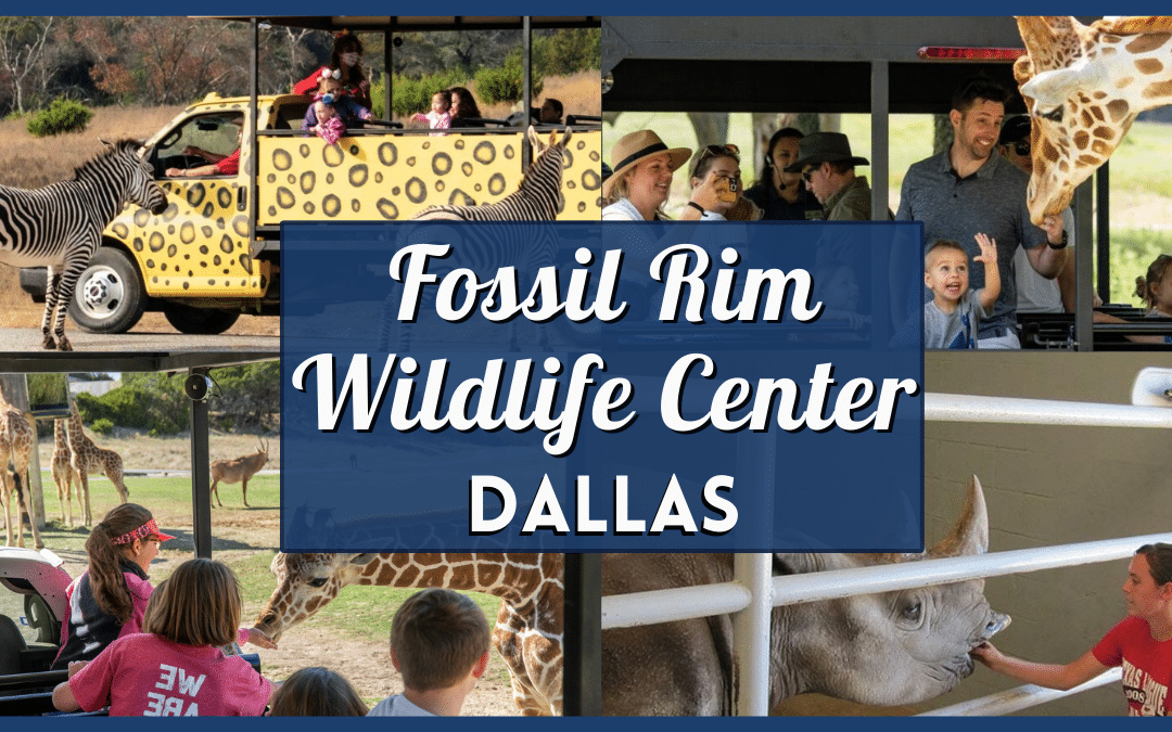 Fossil Rim Wildlife Center – Save Big with Coupons & Discount Tickets!