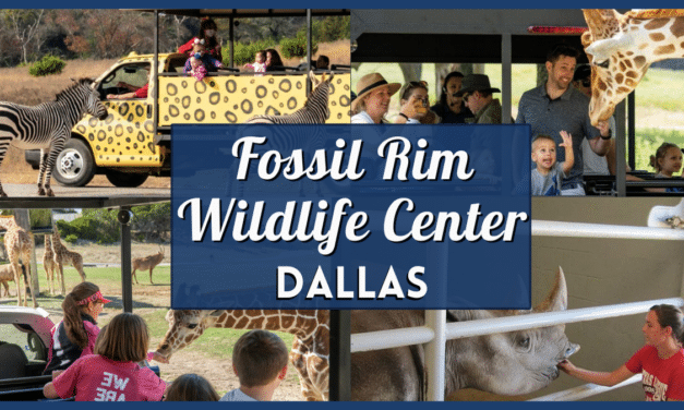 Fossil Rim Wildlife Center – Save Big with Coupons & Discount Tickets!