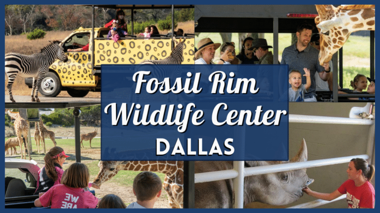 Fossil Rim coupons