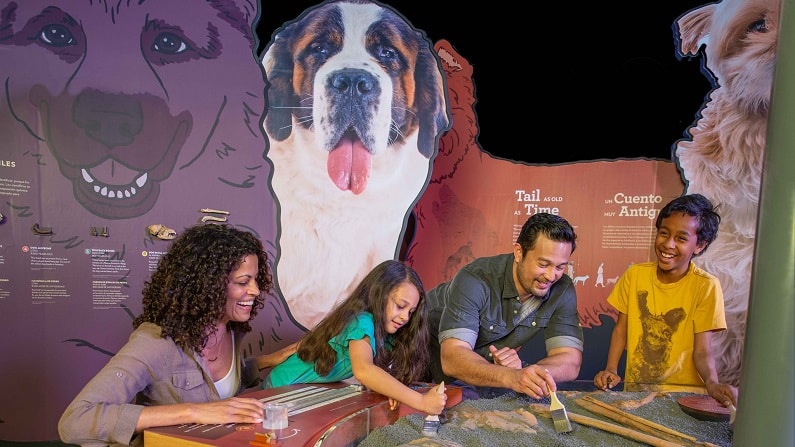 Boston Museum of Science Discounts