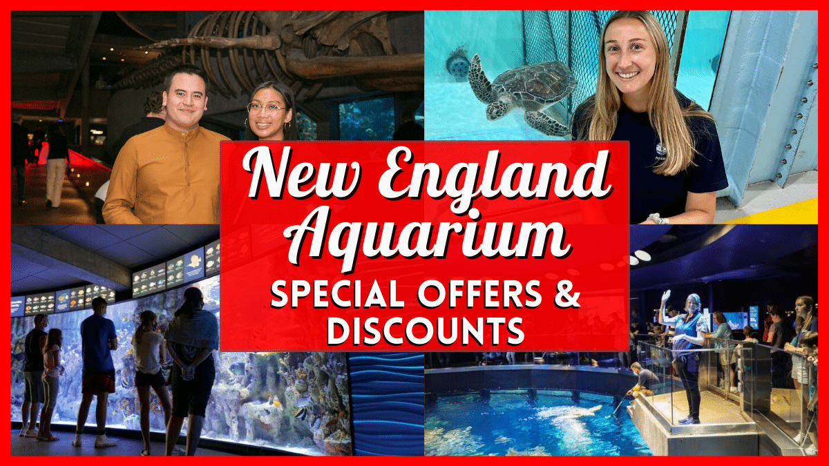 New England Aquarium Discount Tickets, Special Offers, Coupon Codes, & More!
