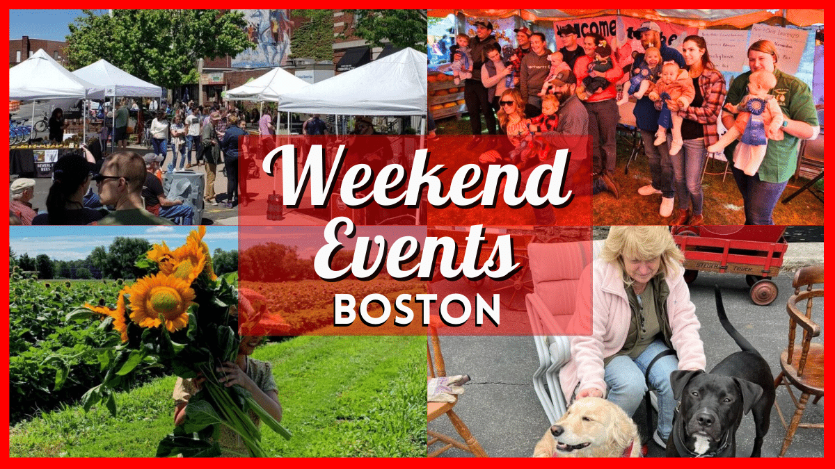 Things to do in Boston this Weekend of September 22 include Verrill Farm Sunflower Field, Belchertown Fair 2023, & More!