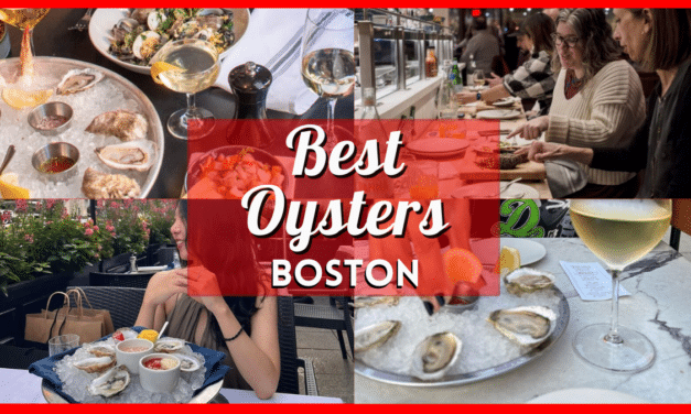Where to Eat Oysters in Boston – Best Oyster Bars & Restaurants