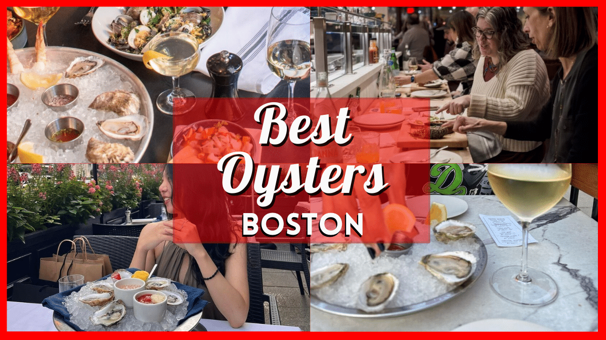 Best Oysters in Boston - Discovering the City's Top Oyster Bars