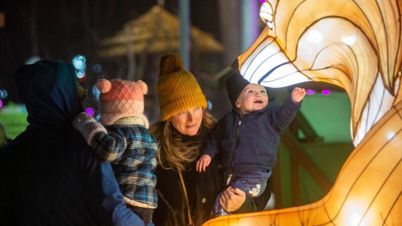 Things to do in Boston this Weekend of November 17 include ZooLights, Holiday Fair & More! 2 ZooLights at Stone Zoo