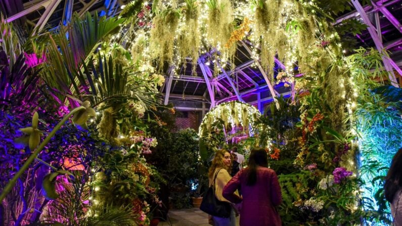 Things to do in Boston this Weekend of February 16 include Cupid's Undie Run, Mardi Gras Carnevale Party & More! 3 Things to do in Boston this weekend