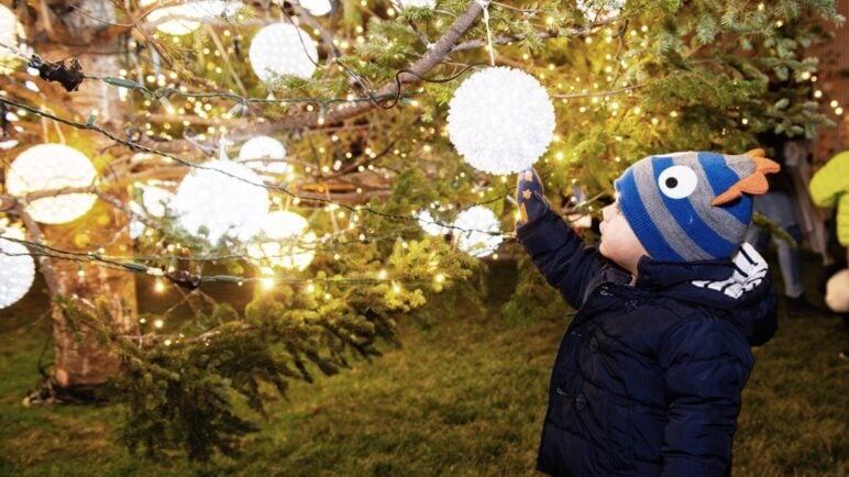 Christmas Lights Boston - 9 Best Places For Holiday Lights In 2024 3 boston ma christmas lights 2024