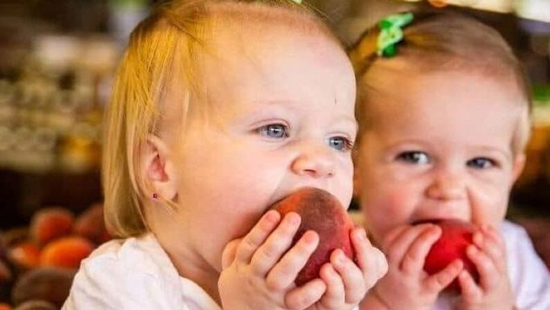 Best Fun Events in Dallas this Weekend of July 11 Include UNAA World Series Finals Season 10, Parker County Peach Festival, & More 4 Best July events in Dallas | Parker County Peach Festival